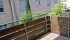 Balkon.jpeg